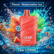 Load image into Gallery viewer, Czar CZ9000