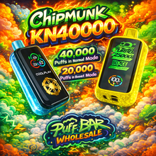 Load image into Gallery viewer, Chipmunk KN40000
