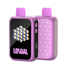 Load image into Gallery viewer, LOSGAL MC25000 by Lost Mary
